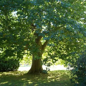 3* Bed & Breakfast Le Platane